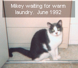 Mikey waits for clothes - 1992