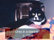 Oreo in a blanket